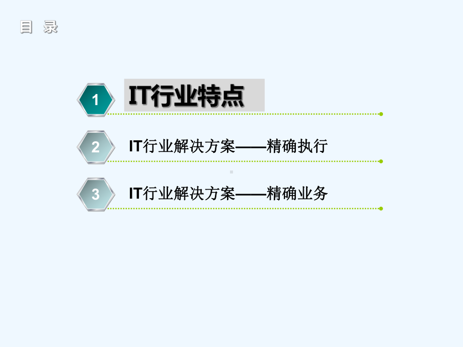 IT行业运营管理解决方案.ppt_第2页