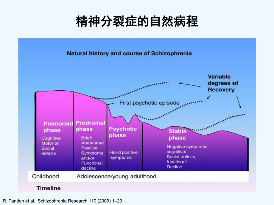 精神分裂症在DSM诊断标准中论述课件.ppt_第3页