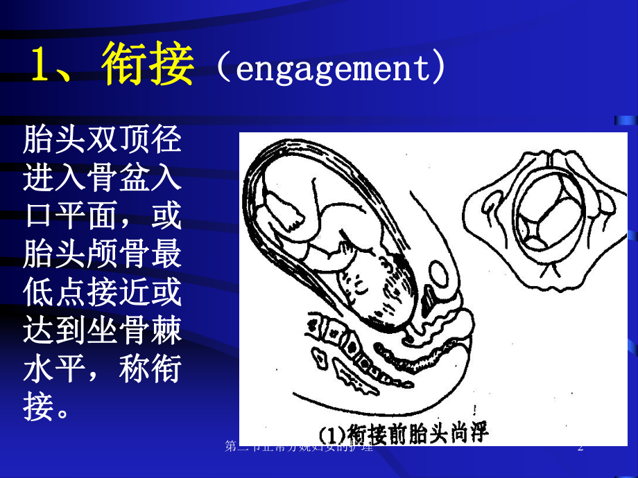 二节正常分娩妇女的护理课件.ppt_第2页