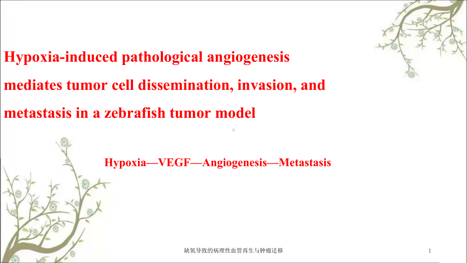 缺氧导致的病理性血管再生与肿瘤迁移课件.ppt_第1页