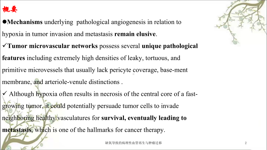 缺氧导致的病理性血管再生与肿瘤迁移课件.ppt_第2页