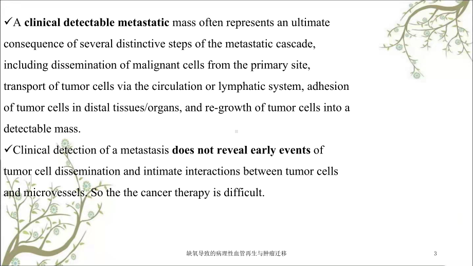 缺氧导致的病理性血管再生与肿瘤迁移课件.ppt_第3页