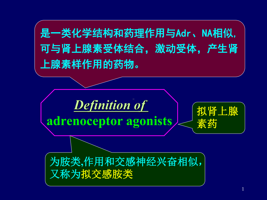 十章肾上腺素受体激动药课件.ppt_第1页