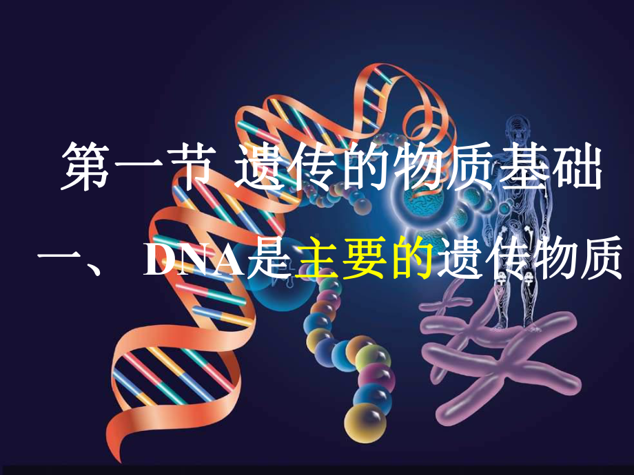 DNA是主要的遗传物质-1-8课件.ppt_第2页