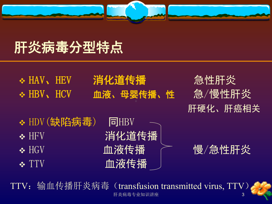 肝炎病毒专业知识讲座培训课件.ppt_第3页