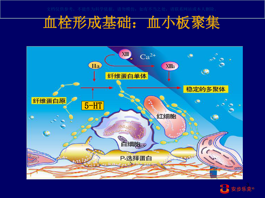 盐酸沙格雷酯(安步乐克)对糖尿病下肢血管病变的治疗作用课件.ppt_第3页