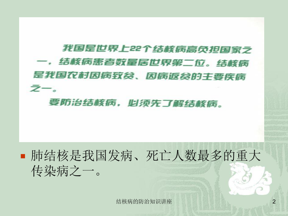 结核病的防治知识讲座培训课件.ppt_第2页