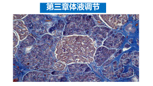 (新教材)激素与内分泌系统课件下载人教版1.pptx