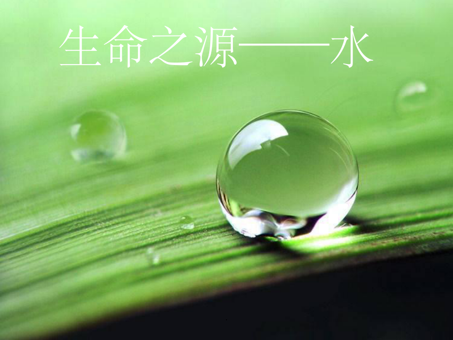 细胞中的无机盐》课件.ppt_第3页