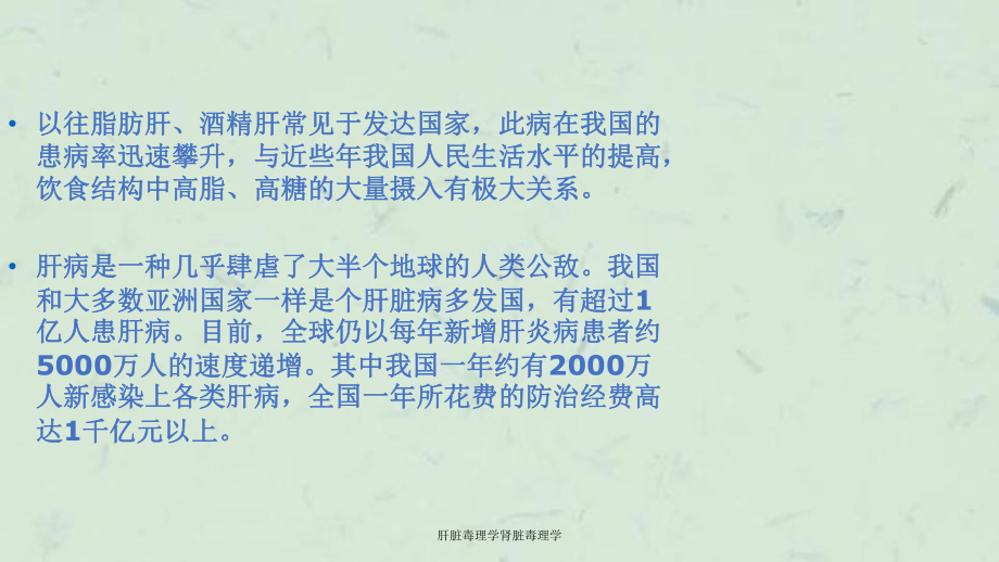 肝脏毒理学肾脏毒理学课件.ppt_第3页