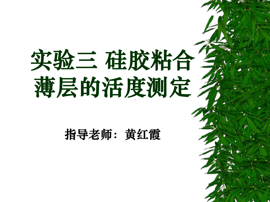 ch03硅胶粘合薄层的活度测定解析课件.ppt_第1页