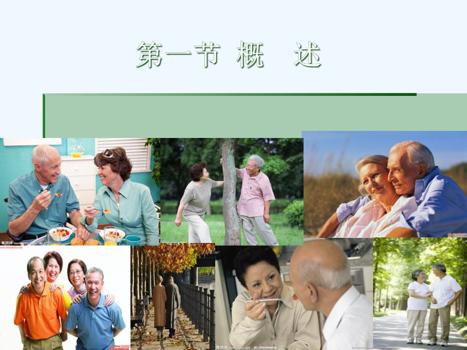 老年人的安全用药与护理培训教材课件.ppt_第2页