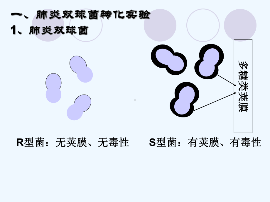 DNA是主要的遗传物质(一轮期末复习)课件.ppt_第3页