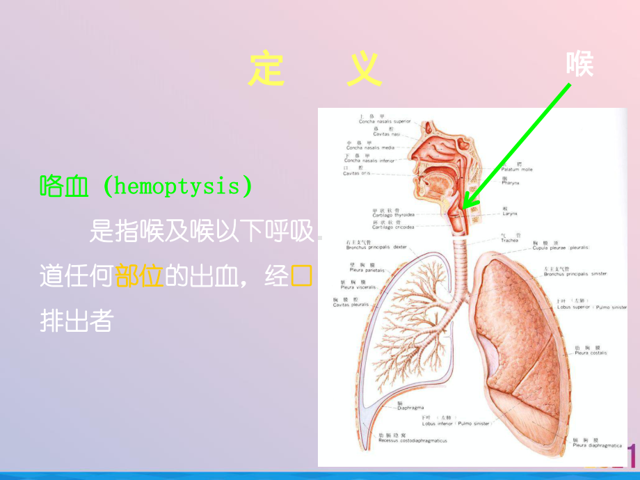 症状学咯血课件.ppt_第3页