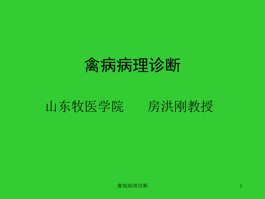 禽病病理诊断课件.ppt_第1页