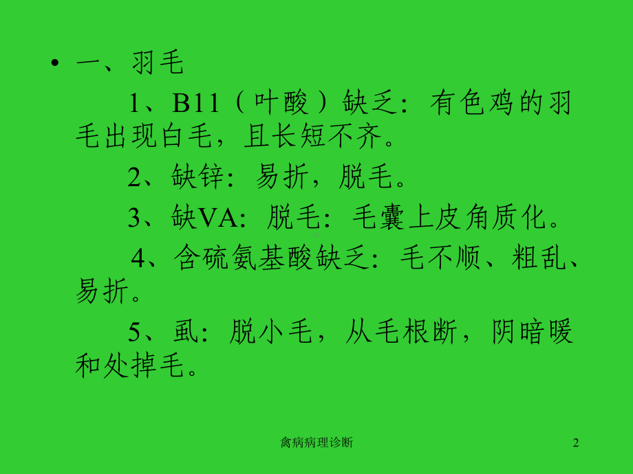 禽病病理诊断课件.ppt_第2页