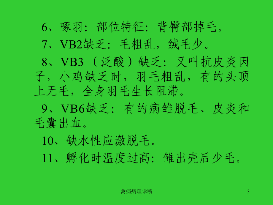 禽病病理诊断课件.ppt_第3页