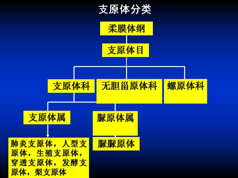 19章支原体名师编辑课件.ppt_第3页