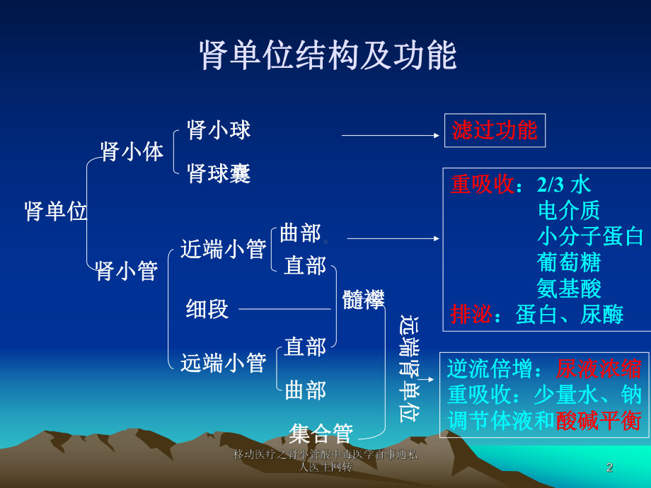 移动医疗之肾小管酸中毒课件.ppt_第2页