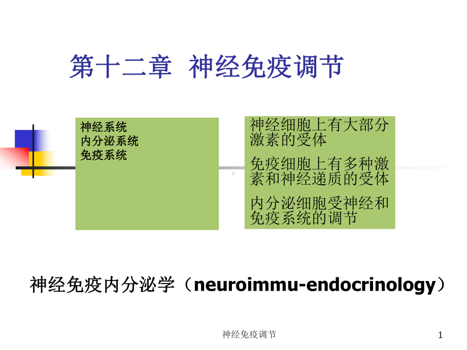 神经免疫调节课件.ppt_第1页