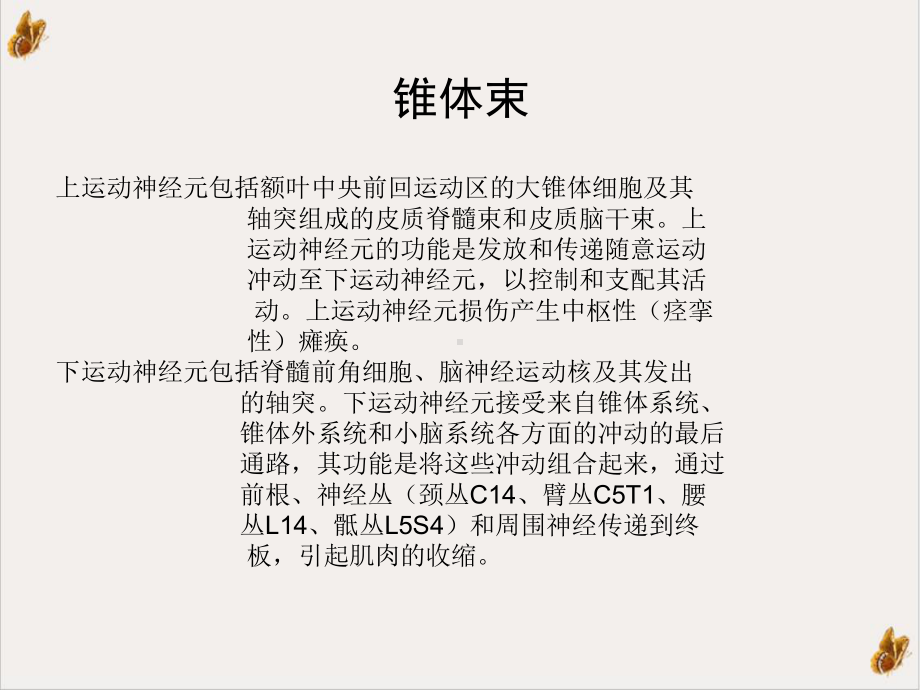 瘫痪的类型及病因示范课件.ppt_第3页