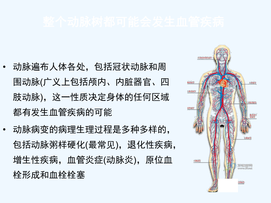 老年外周动脉病诊治进展课件.ppt_第2页