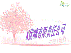 K优咪DIY创业计划书课件.ppt