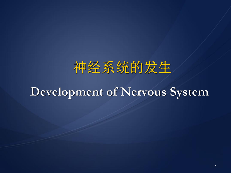 神经系统的发生教学课件.ppt_第1页