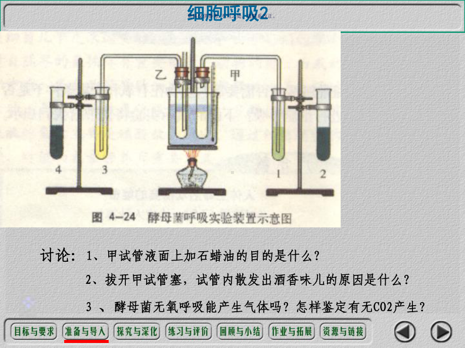 细胞呼吸医学宣教课件.ppt_第2页