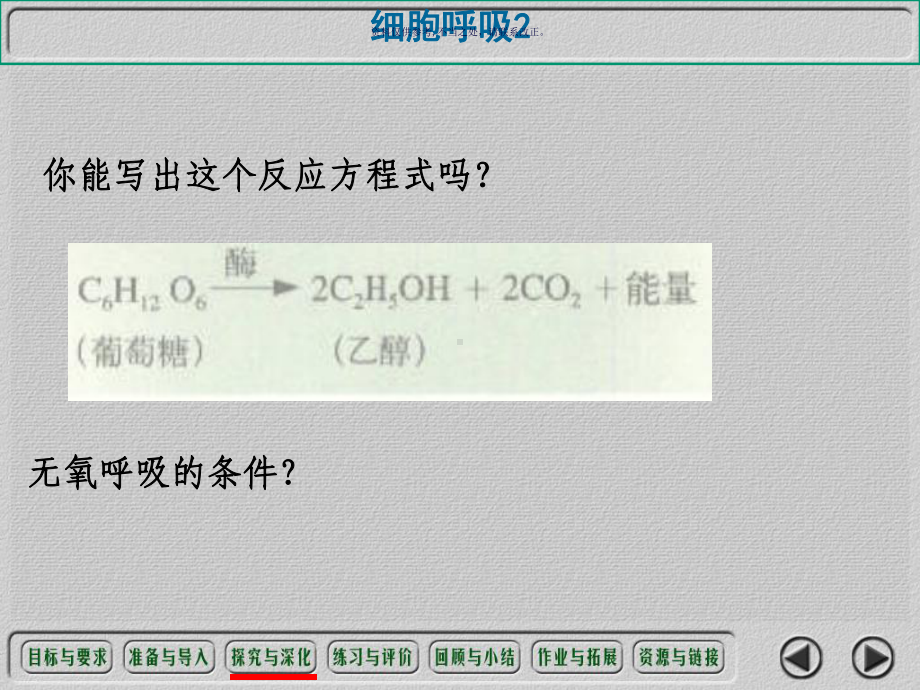 细胞呼吸医学宣教课件.ppt_第3页