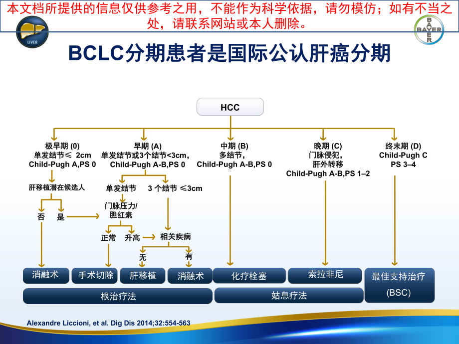 肝癌治疗的全程管理培训课件.ppt_第3页