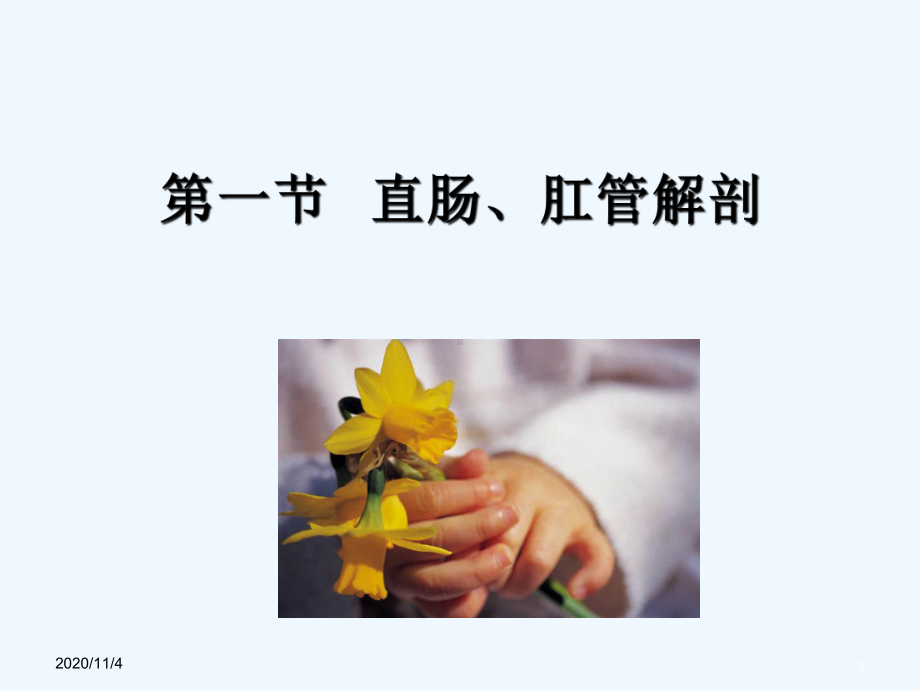 直肠肛管疾病课件.ppt_第2页