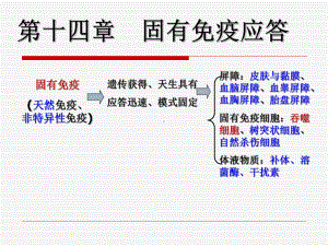 第十四章-固有免疫系统及其应答课件.pptx