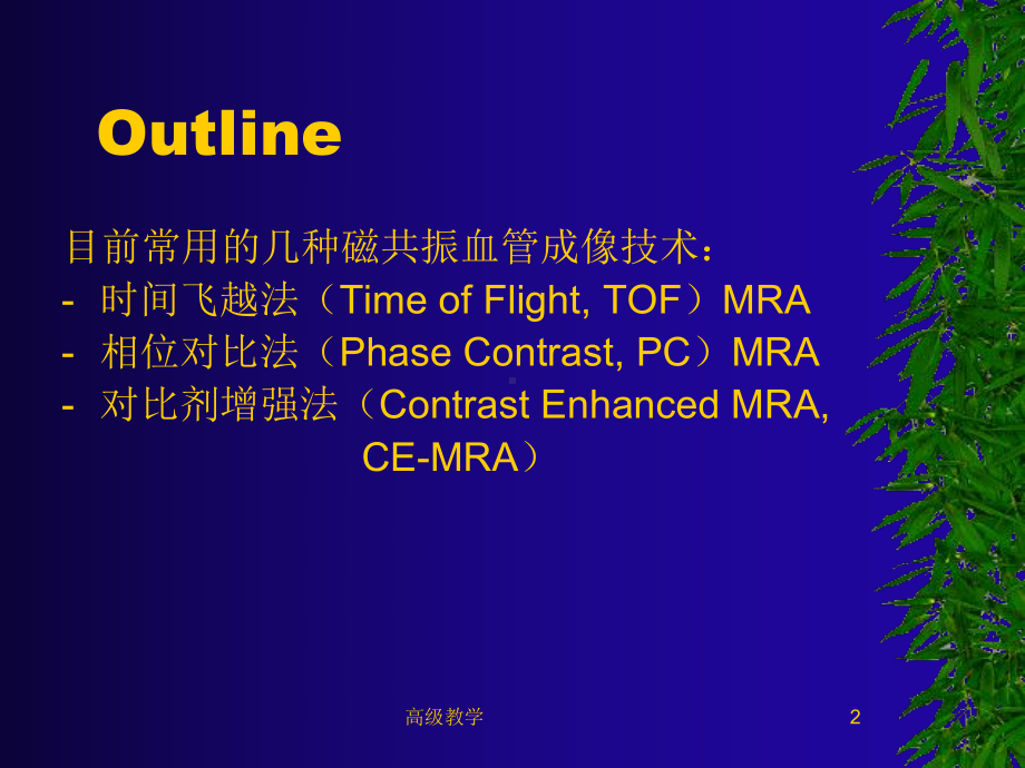 磁共振血管成像技术(行业知识)课件.ppt_第2页