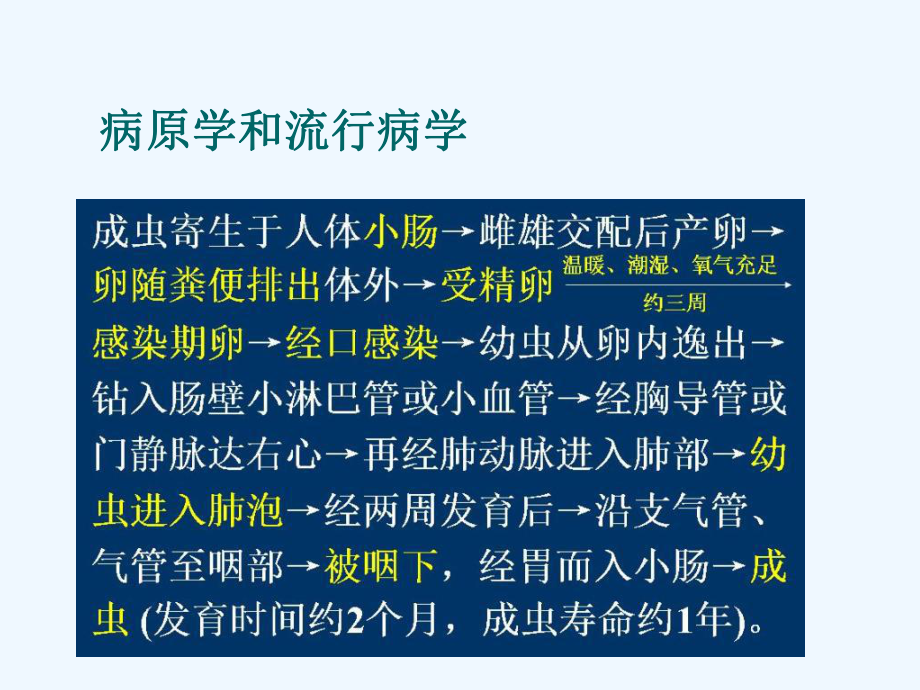 六节寄生虫病课件.ppt_第3页