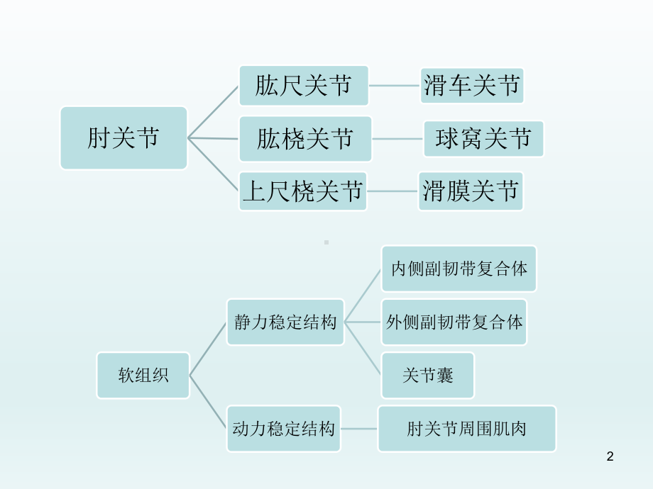 肘关节应用解剖及生物力学参考课件.ppt_第2页