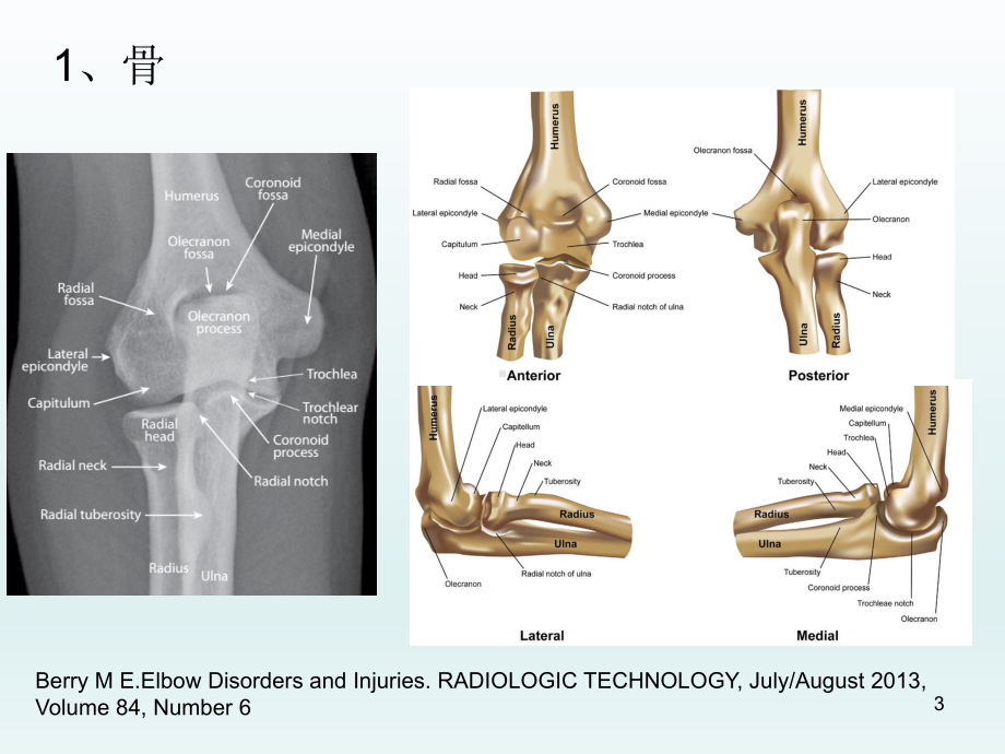 肘关节应用解剖及生物力学参考课件.ppt_第3页