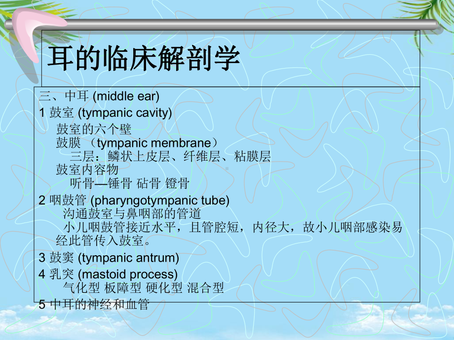 耳的临床解剖学课件.ppt_第1页