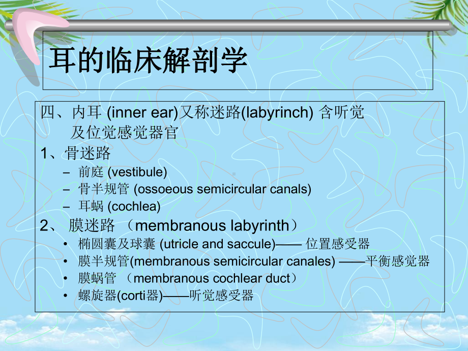 耳的临床解剖学课件.ppt_第2页