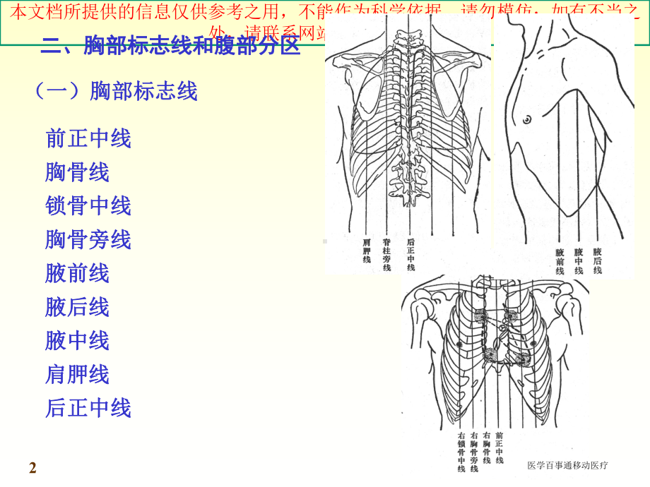 移动医疗库消化系统构造详解培训课件.ppt_第2页