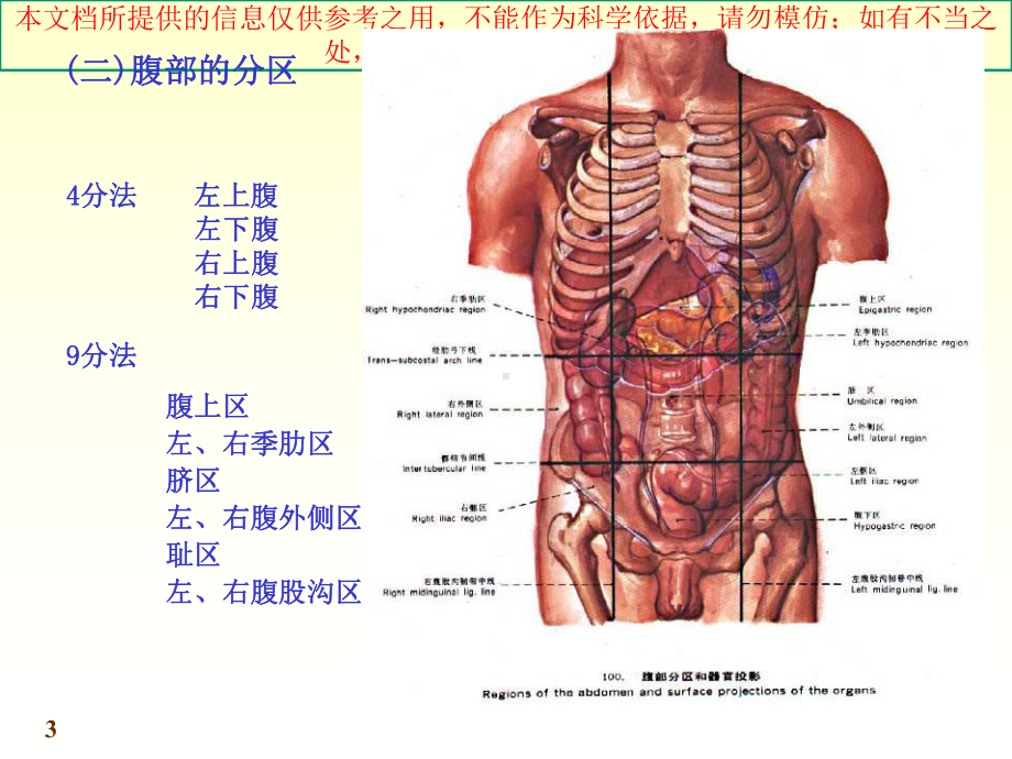 移动医疗库消化系统构造详解培训课件.ppt_第3页