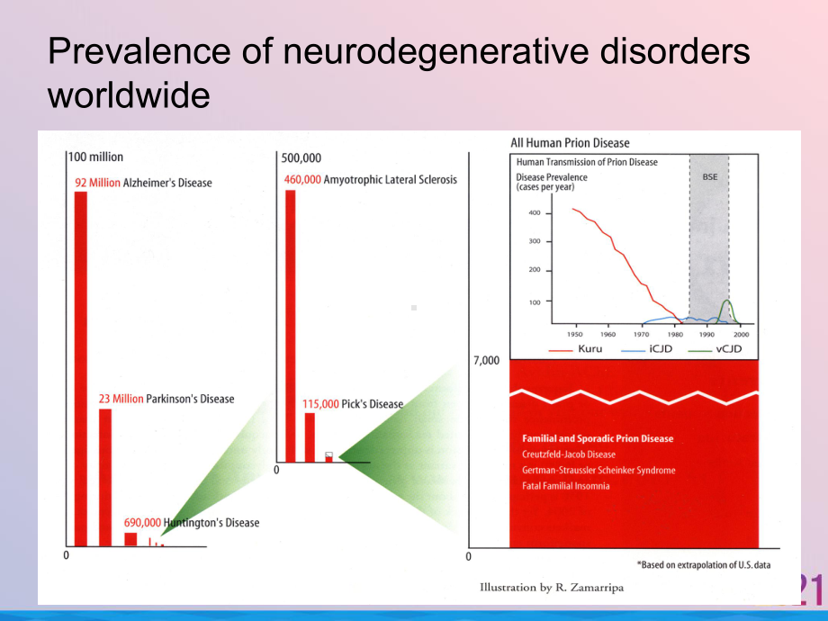 痴呆诊断策略查房课件.ppt_第2页