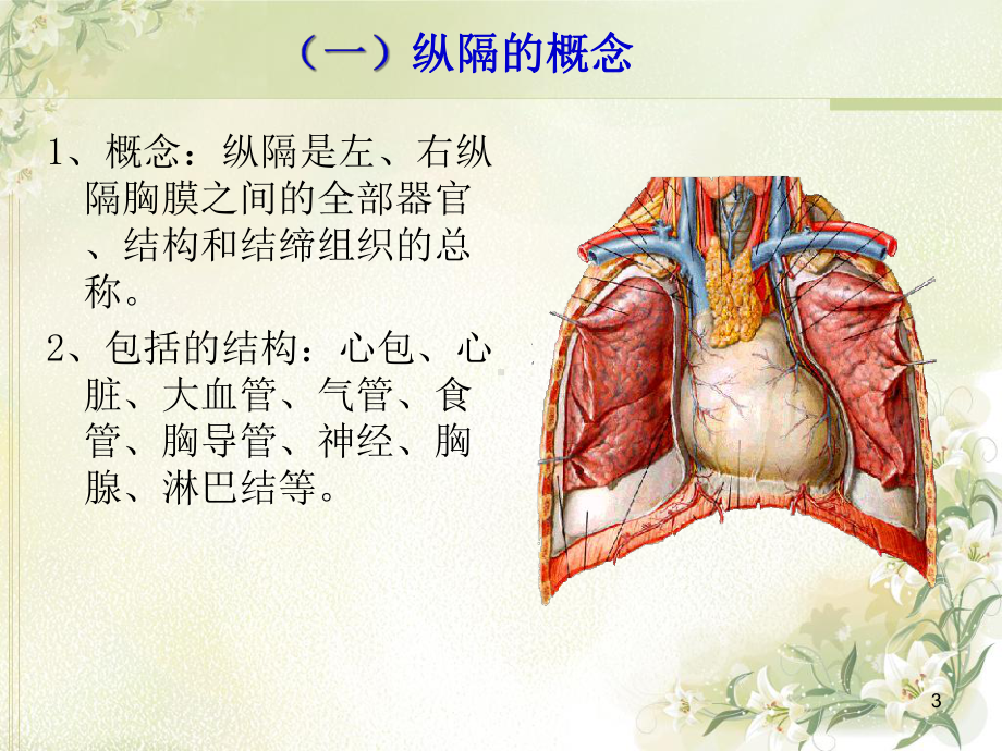 纵隔解剖及常见纵隔肿瘤影像学诊断课件-2.ppt_第3页