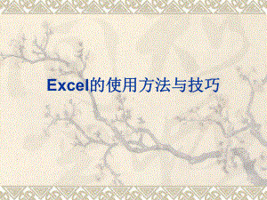 Excel的使用方法与技巧课件.ppt