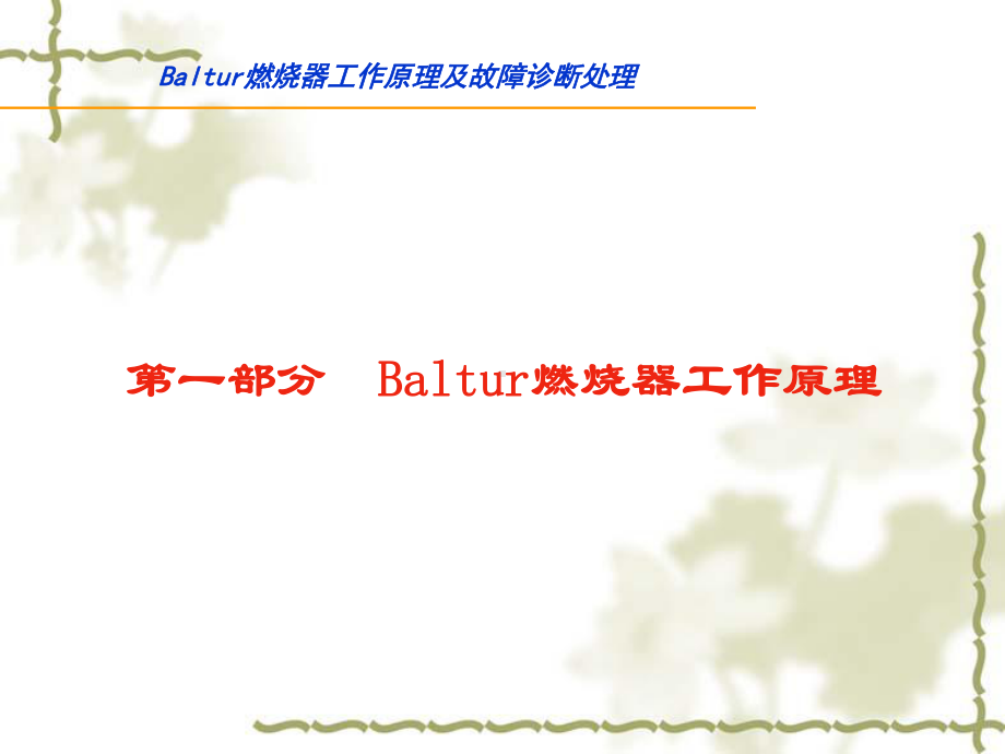 baltur燃烧器课件解析.ppt_第2页