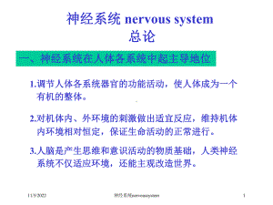 神经系统nervoussystem培训课件.ppt