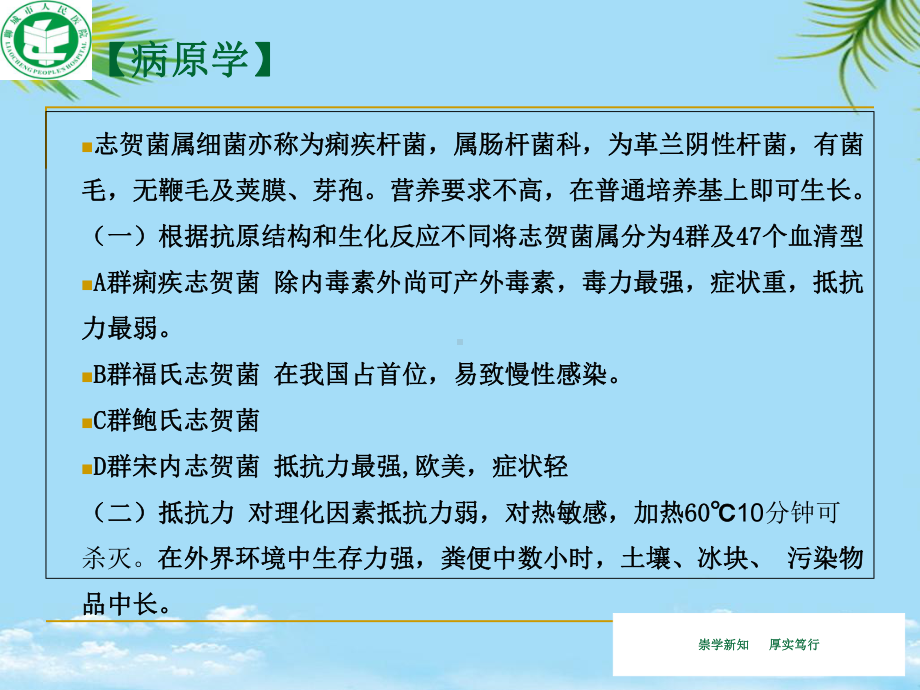 细菌性痢疾-最全课件.ppt_第3页