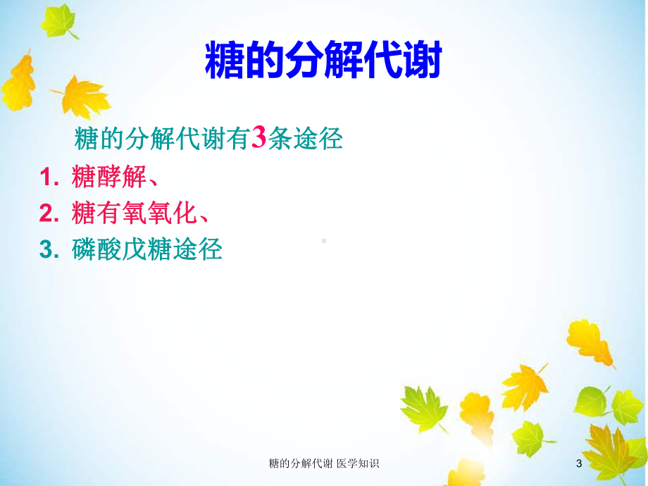 糖的分解代谢-医学知识培训课件.ppt_第3页