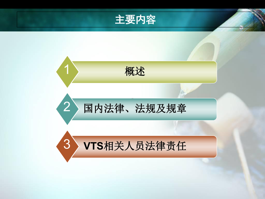 vts相关法律、法规、规章等解析课件.ppt_第2页