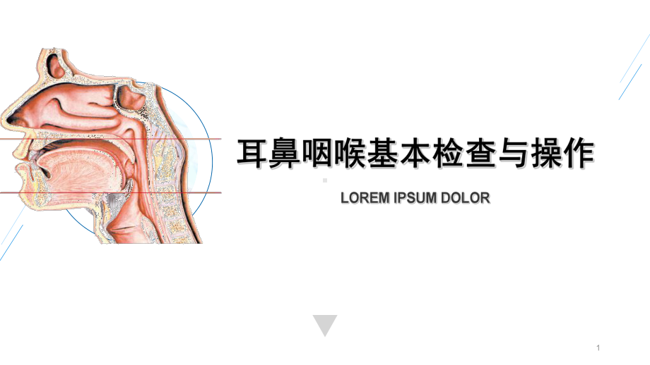 耳鼻咽喉基本检查与操作教学课件.ppt_第1页